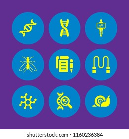 spiral icon. 9 spiral set with dna, snail, notepad and mosquito from top view vector icons for web and mobile app