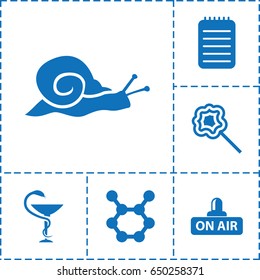 Spiral icon. set of 6 spiral filled icons such as snail, lollipop, open air, notebook, medicine