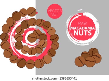 Spiral of macadamia nuts with red brush stroke circle on background. Cartoon nuts helix. Isolated hand drawn nuts. Raw macadamia nut colorful vector label ready for web and print.