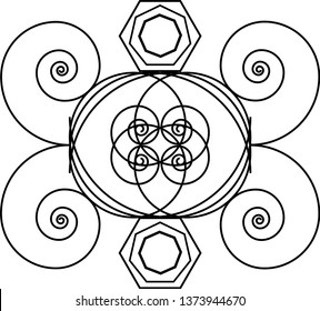 Spiral Minimalist Patterns with a white background