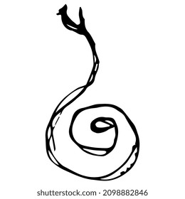 Spiral motif. Coiled snake. Hand drawn linear doodle rough sketch. Black silhouette on white background.