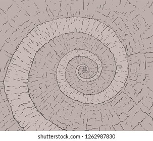 spiral rock way