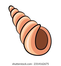 Spiral seashell colorful drawing isolated vector illustration. Turritella conch swirl sea shell clipart. Sea underwater marine design element. Aquarium mollusk icon or logo. Tropical summer line art.