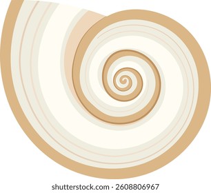Spiral Seashell Illustration Isolated on White Background