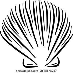 Spiral seashell illustration for ocean packaging summer branding beach decor minimal designVector illustration