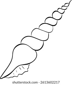 Espiral de concha ilustración. Vector línea gráfica tinta Boceto lineal de una concha marina. Diseño para el paquete, cosmético, textil, tarjetas.
