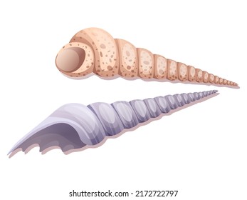 Spiral seashells on a white background. Mollusk vector illustration. Suitable for decor, stickers, prints. Beach,sea illustration.