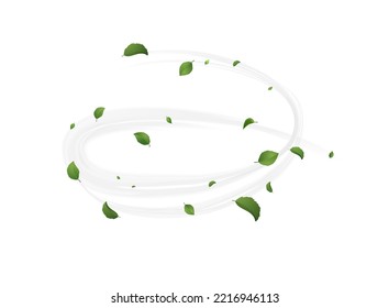 Spiral shaped wind blowing with green tea or mint leaves concept of fresh ecological summer or spring vibe