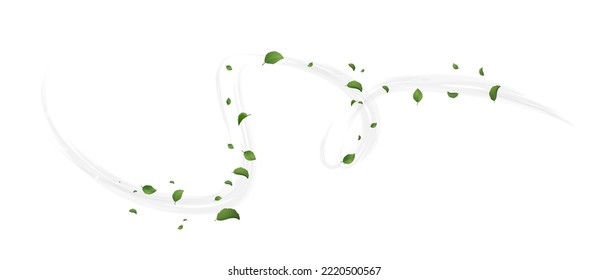 Spiral shaped wind blowing with green tea or mint leaves concept of fresh ecological summer or spring vibe