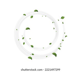 Spiral shaped wind blowing with green tea or mint leaves concept of fresh ecological summer or spring vibe