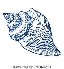 Gravação em Shell em Espiral. Linha de tinta azul Art. Vetor Marine Design. Conchas marinhas submarinas