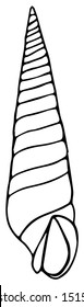 Spiral Shell Outline Drawing - Vector Illustration