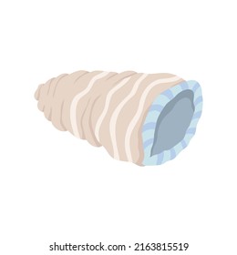 Spiral shell - sea beige and blue pastel flat freehand illustration. Vector isolated on white background.