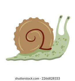 Caza espiral de caracol o molusco. Simple ilustración de dibujos animados. Decoración de acuario y naturaleza.