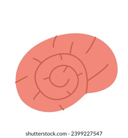 spiral shell. snail shell. red spiral shell isolated