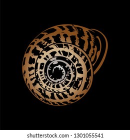 Spiral snail shell. Helix made of inward rotating circles. Logo Nautilus. Mollusk icon. Abstract color vector illustration isolated on black background. EPS 10