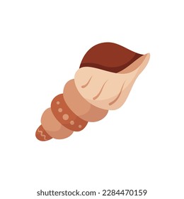 Spiral snail shell. Marine life. Seashells, ocean mollusks. Hand drawn seashell, decorated with boho style patterns. Vector illustration