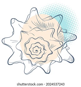 Spiral spiked seashell  in line art style on spotted background. Front view. Vector color hand drawn illustration. Elements for design seafood shop or menu, decor, label, print, poster, t-shirt.