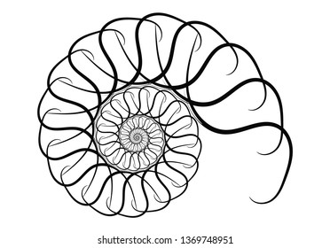 Spiral vector design elements. Abstract lines black and white. Swirl background.