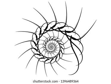 Spiral vector design elements. Abstract lines black and white. Swirl background.