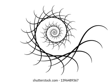 Spiral vector design elements. Abstract lines black and white. Swirl background.