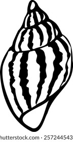 Spiral vector seashell in black color, shell icon
