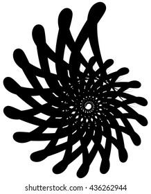 Spiral volute, snail shape, element. Rotating, twirling abstract monochrome illustration. Circular curlicue, twisting lines.