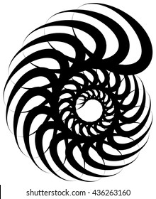 Spiral volute, snail shape, element. Rotating, twirly abstract monochrome vector illustration. Circular curlicue, twisting lines.