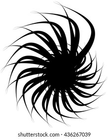 Spiral volute, snail shape, element. Rotating, twirly abstract monochrome vector illustration. Circular curlicue, twisting lines.