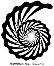 Spiral volute, snail shape, element. Rotating, twirly abstract monochrome vector illustration. Circular curlicue, twisting lines.