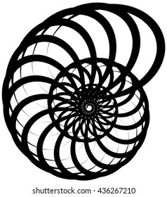 Spiral volute, snail shape, element. Rotating, twirly abstract monochrome vector illustration. Circular curlicue, twisting lines.