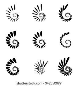 Spiral, vortex, swirl or twirl abstract monochrome graphic. Vector.