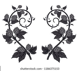 Spiraled Leafy Hops on Vines