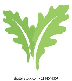 
Spirally arranged patterns enriched two oak leaves
