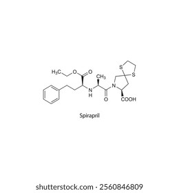 Spirapril flat skeletal molecular structure ACE inhibitor drug used in hypertension treatment. Vector illustration scientific diagram.