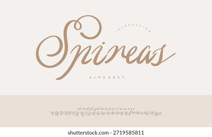 Spireas Elegante Fino Monoline Script Alfabeto De Fonte Vetor Para Convite De Casamento