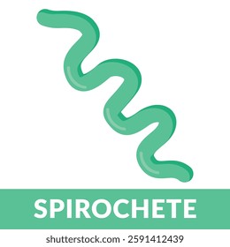 Spirochete bacteria deisgn vector Illustration