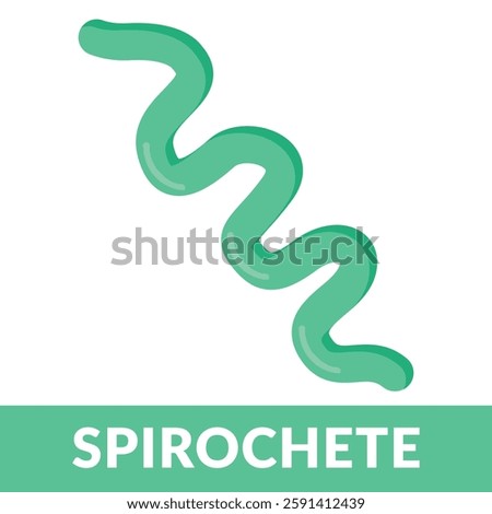 Spirochete bacteria deisgn vector Illustration