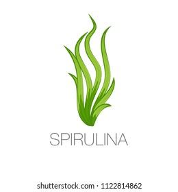 Spirulina algae icon on white background. Arthrospira seaweed dietary supplement image. Vegetarian food. Vector Illustration.