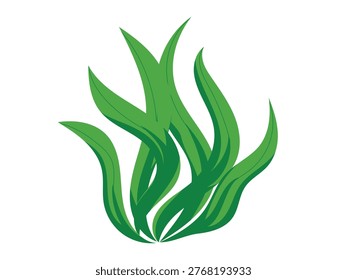 Spirulina algae leaves, seaweed design element