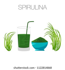 Spirulina algae on white background. Arthrospira seaweed dietary supplement image. Vegetarian food. Vector Illustration.