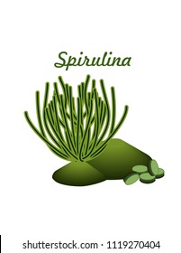 Spirulina algae, pills and spirulina powder