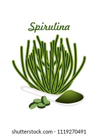 Spirulina algae, pills and spirulina powder