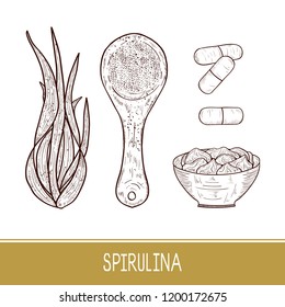 Spirulina. Algae. Powder, spoon, pill. Set. Sketch. Monophonic.