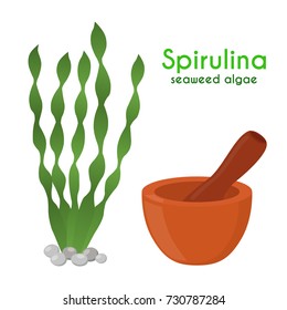 Spirulina, algae, seaweed with pestle, mortar. Made in cartoon flat style. Vector illustration