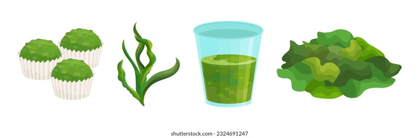 Spirulina as Dietary Supplement and Natural Food for Human Consumption Vector Set