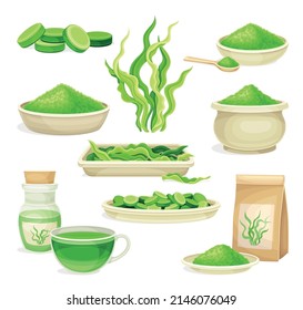 Spirulina dietary supplement set. Healthy eco product, antioxidant superfood vector illustration