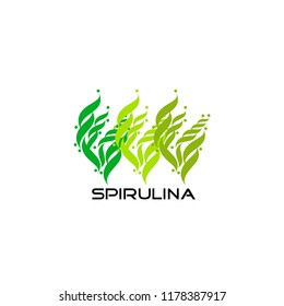spirulina in flat style. Isolated organic healthy food.