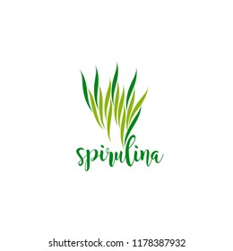 spirulina in flat style. Isolated organic healthy food.