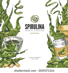 Spirulina green seaweed organic superfood sketch illustration, good for package. Hand drawn vector background of super food spirulina pills, greens and extract.